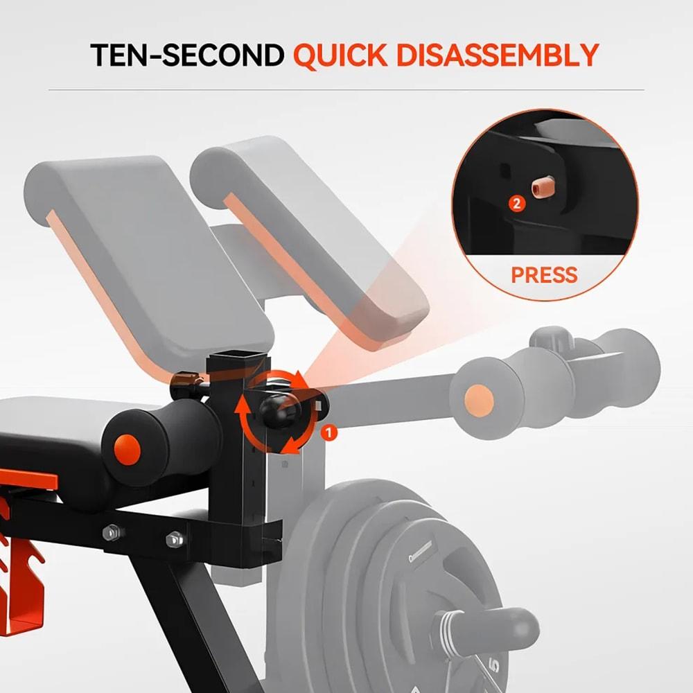 Adjustable Preacher Curl Weight Bench