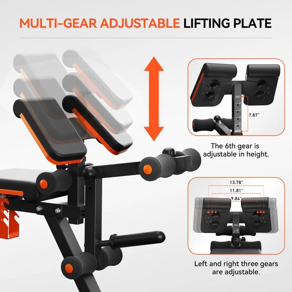 Adjustable Preacher Curl Weight Bench